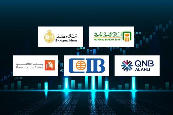 مصر: بعد عام المكاسب القياسية.. توقعات أن يعزز الجنيه مكاسبه في  2026