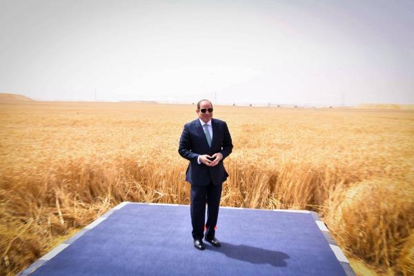لتعزيز الأمن الغذائي ودعم الاقتصاد.. تفاصيل مشروع الدلتا الجديدة بمصر