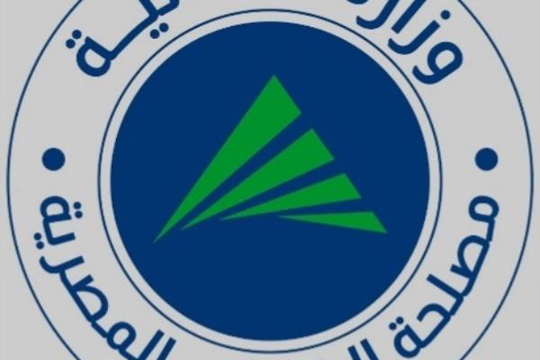 مصلحة الضرائب تشارك في إعداد تقريرين دوليين لدول"البريكس" حول الرقمنة