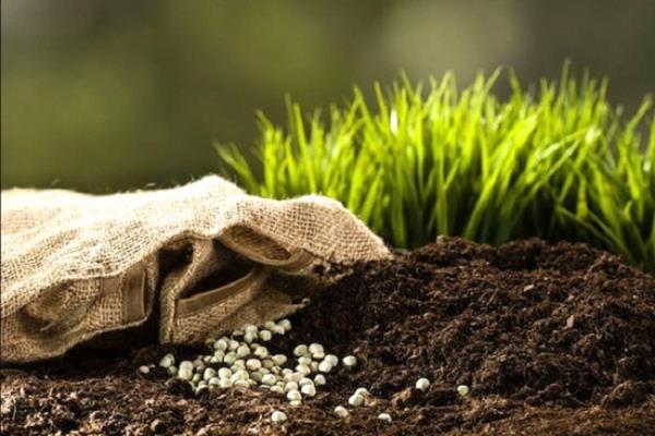 صادرات الأسمدة المصرية ترتفع وسط موجة صعود أسعار الغاز العالمية