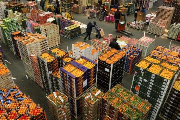 سوق تكنولوجيا الغذاء تتزايد في الصناعة لتصل  473.4 مليار دولار في 2033