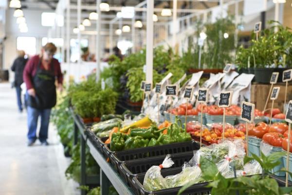 مصر تتحرك لحماية صادراتها الزراعية بعد إغلاق مجالات جوية دولية