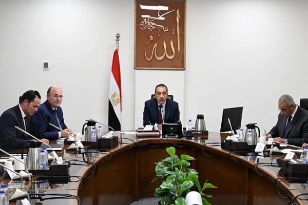 الحكومة: خطة تنفيذية من 5 محاور لتطوير زراعة وصناعة الكتان في مصر