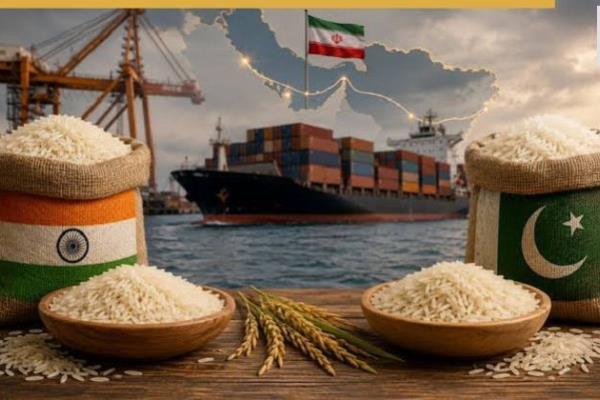 "هرمز" يتسبب بتراجع شحنات الأرز الهندي البسمتي بالأشهر الأربعة الأولى من 2026