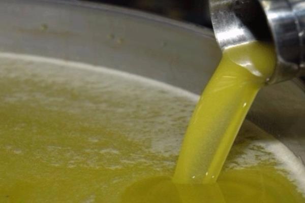 تونس: صادرات زيت الزيتون تقفز 55%.. وإيرادات تتجاوز 1.6 مليار دينار