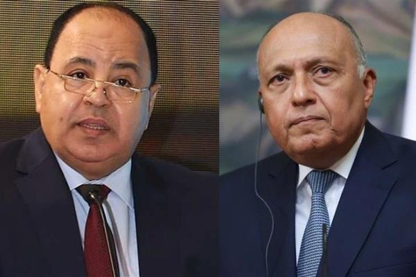 اليابان تمنح سامح شكري ومحمد معيط وسام الشمس المشرقة