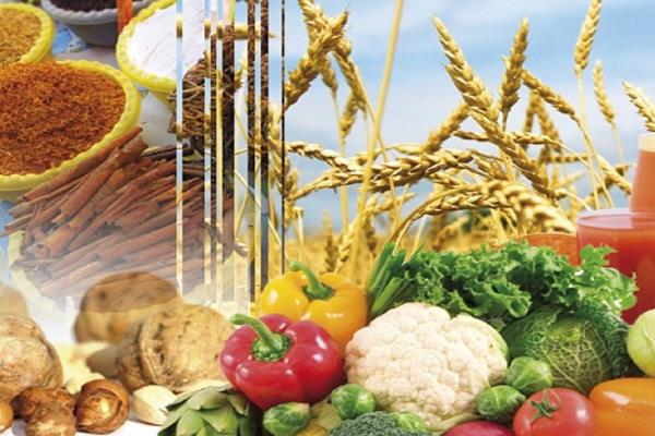 "الجارديان" البريطانية: طفرة عالمية بسوق الأغذية العضوية وفرص بقيمة 712 مليار دولار