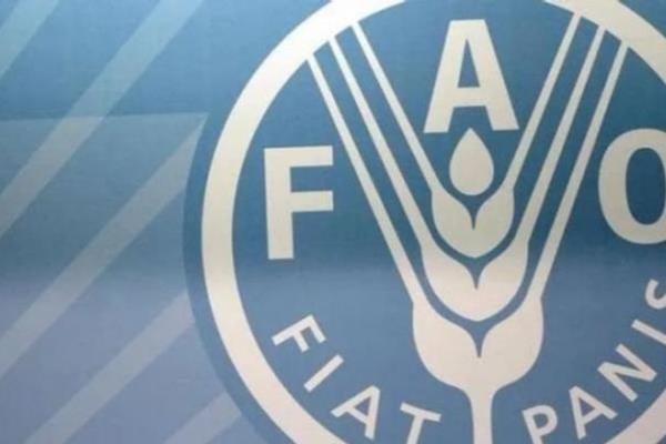 أسعار الغذاء العالمية ترتفع بعد 5 أشهر من الانخفاض المتواصل