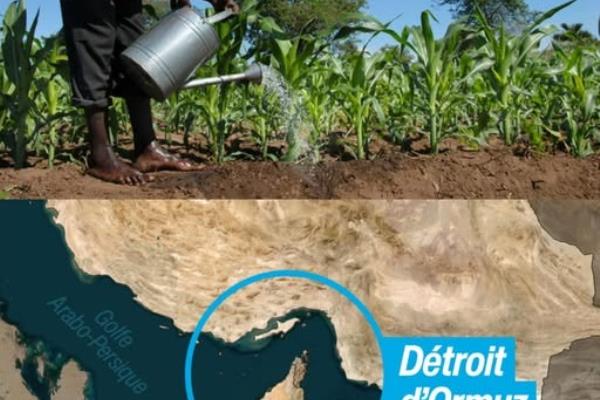 أزمة غذاء عالمية.. حرب إيران تضرب سلاسل الإمداد وترفع الأسعار