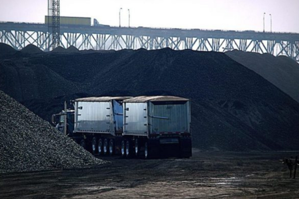 بكمية 20 ألف طن وبقيمة تصديرية بمليوني دولار للفحم البترولي المصري