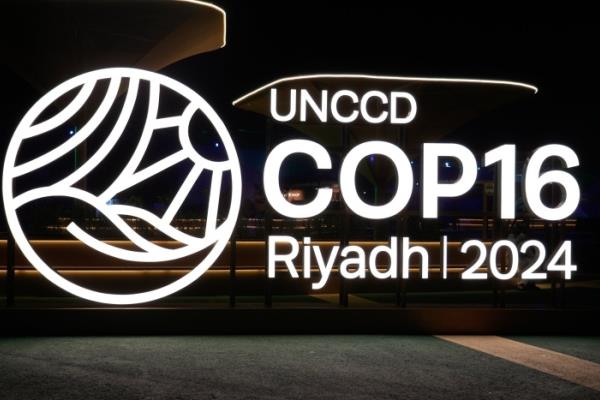 انطلاق COP16 في السعودية.. المملكة تترأس اتفاقية الأمم المتحدة لمكافحة التصحر