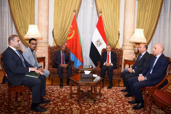 وزير الخارجية يبحث ونظيره الإريتري تعزيز العلاقات الثنائية بين البلدين