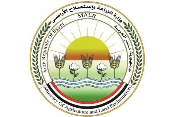 الزراعة تعلن موافقة الاتحاد الأوروبي على تيسير إجراءات تصدير البطاطس المصرية