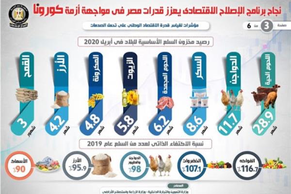 هل تكفي اجراءات مصر الاقتصادية المعلنة مؤخرا للحد من آثار فيروس كورونا؟