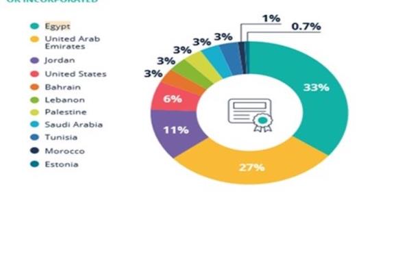 بحصة 37%.. مصر الدولة الأولى بالمنطقة جذبًا لتمويلات الشركات الناشئة