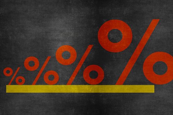 المركزي للإحصاء: 51.9% زيادة في مساحة الأرز خلال 2019  وتراجع طفيف بمساحات القمح