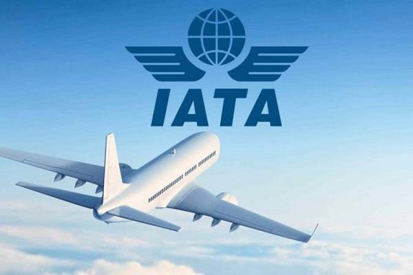 شركات الطيران العالمية تقلص خسائرها خلال 2022 وسط تحسن التوقعات